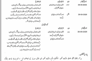 Punjab Market Fee Collection Contracts E-Auction Schedule 2026-27