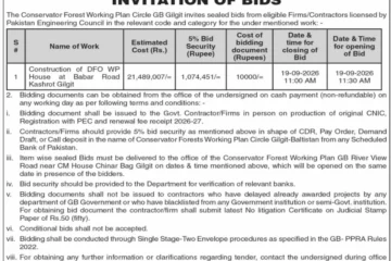 Tender for Construction of DFO WP House at Babar Road, Kashrot Gilgit